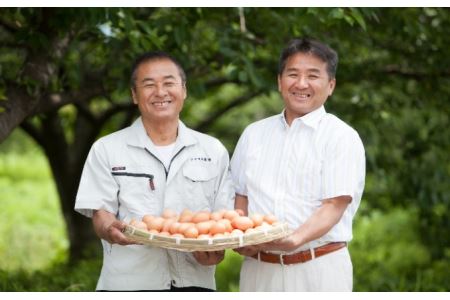 ゆずたま　卵かけご飯をお塩で食べる