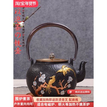 日本鐵壺南部金鳳凰鑄鐵壺無涂層生鐵壺老鐵壺茶壺套組家用燒水壺