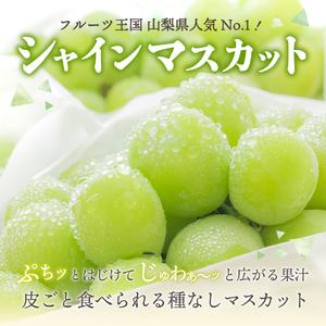 ふるさと納税 ジューシーで甘さ抜群 厳選 シャインマスカット 1kg×2回 配送 シャインマスカット.. 山梨県富士吉田市