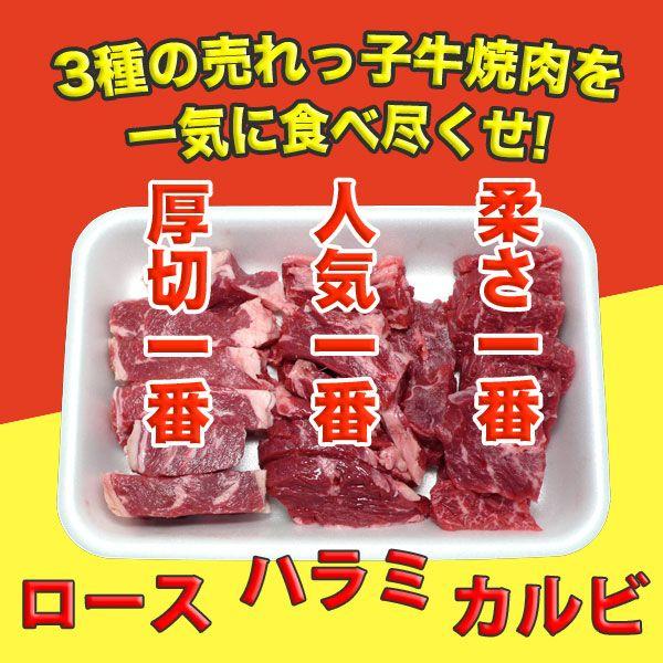 焼き肉セット カルビ・ハラミ・上ロース 牛肉 1.2kg(400g×3) 自家製タレ付属 （BBQ バーべキュー）焼肉