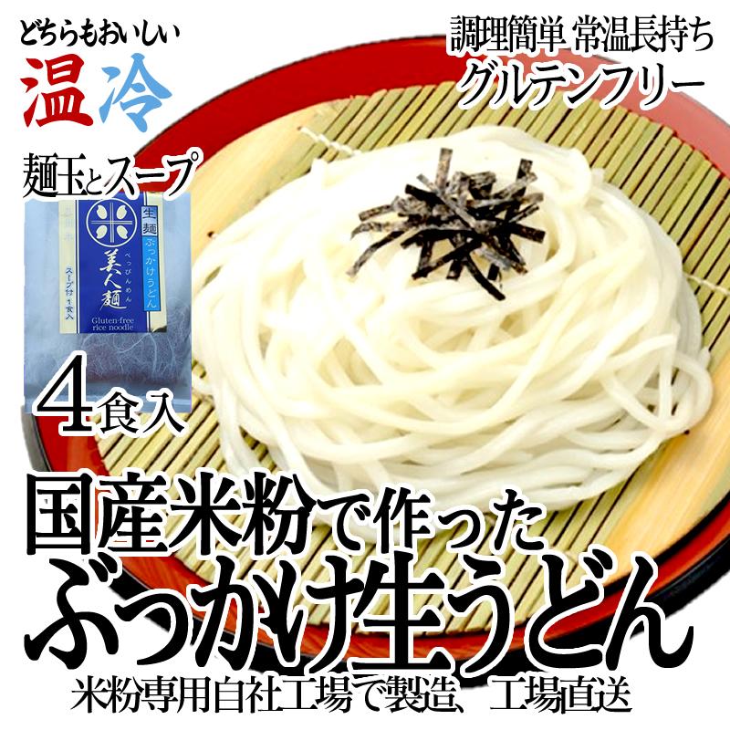 グルテンフリー ぶっかけうどん 生麺 170g ×4食分 つゆ付き 小麦粉不使用 九州産米粉使用 常温保存  4人前