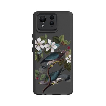 Zenfone 11 Ultra SolidSuit 黑 - The British Library - 美洲鳥譜 ‧ 帶尾原鴿