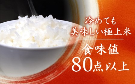  もちもち食感の飛騨産ミルキークイーン「乙女ごころ」5kg 和仁農園 TR3198