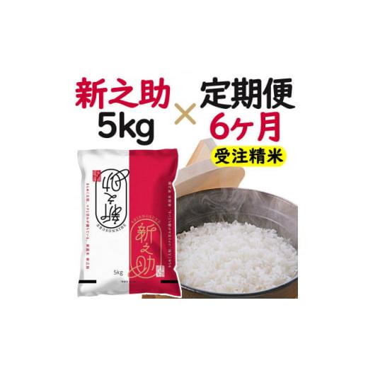 ふるさと納税 新潟県 新潟市 米 ６ヶ月定期便 令和５年産 新潟 新之助 ５kg 白米 精米 １等米 精米仕立てを発送致します