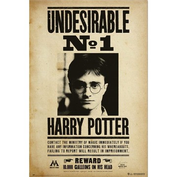 【哈利波特】頭號不受歡迎人物通緝令海報/HARRY POTTER