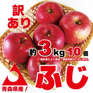 訳あり 青森りんご ふじ 約3kg（約10個入り）