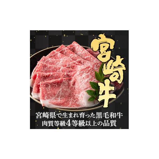 ふるさと納税 宮崎県 門川町 宮崎牛赤身セット(合計700g・モモステーキ100g×2袋、モモ焼肉150g、モモスライス200g、赤身サイコロ150g)【エムファー…