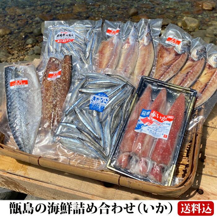 送料無料 ギフト 甑島の海鮮詰め合わせ（いか） 海鮮セット 干物 天日干し 塩干 イカ 鹿児島産 お刺身 キビナゴ アジ カマス 鯖 薩摩赤いか 贈り物 お土産