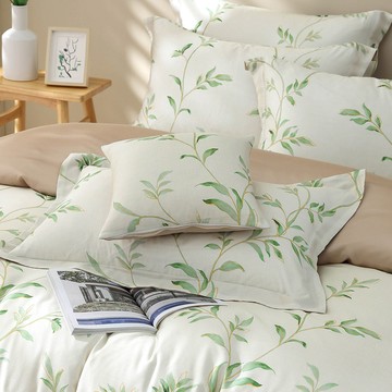 枕套2入/ 天絲300織 / 天絲 萊賽爾 / 芮雅 [鴻宇] 台灣製 - T20195