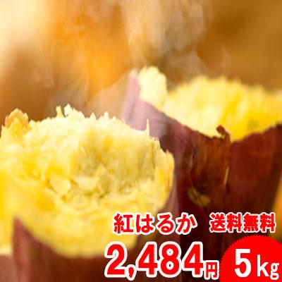 紅はるか 5kg入り 訳あり大小混合 送料無料 2セット以上のご購入で、新鮮野菜のおまけ（同一配送先に限ります)　焼き芋 に最適な 蜜芋 5営業日以内 発送可