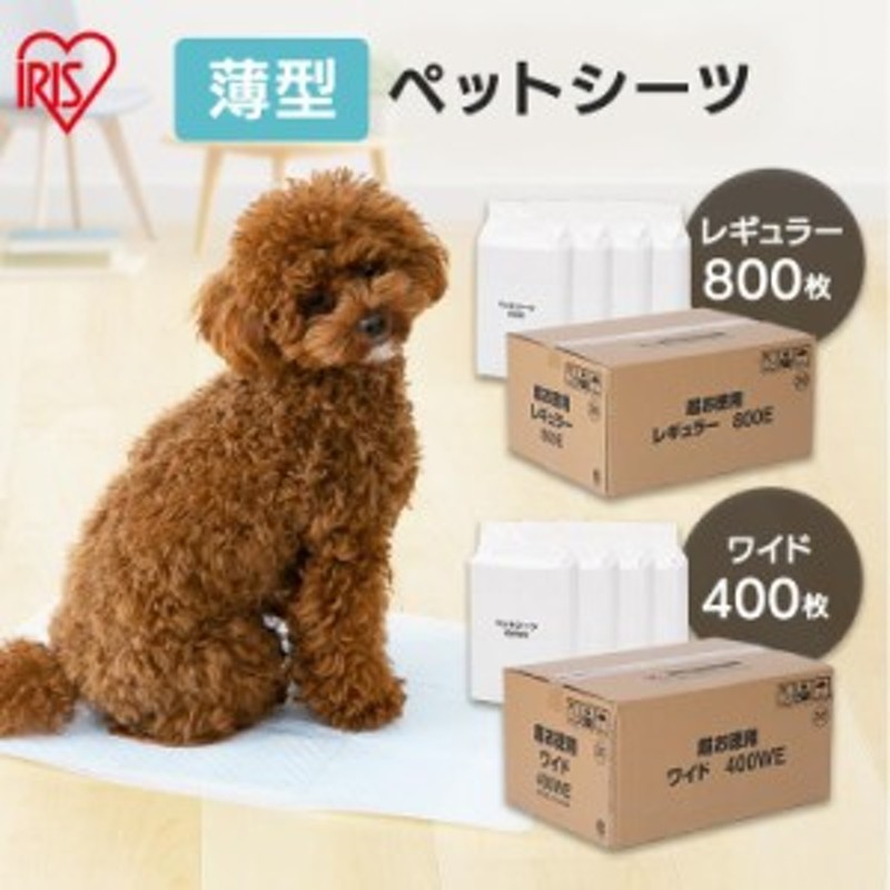 ペット シーツ 犬 トイレ シート ペットシーツ 薄型 レギュラー ワイド