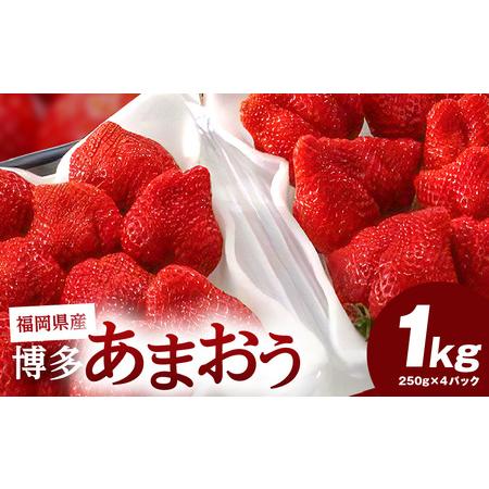 ふるさと納税 福岡県産 博多あまおう １ｋｇ（250ｇ×4パック）_Fi033 福岡県久留米市