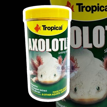 六角恐龍 角蛙 底棲魚長條飼料 角蛙飼料 底棲魚 魚飼料 蠑螈