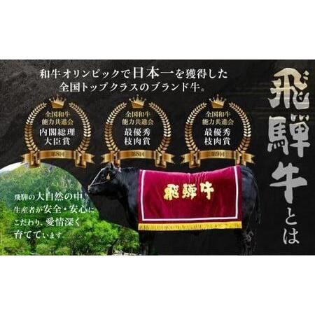 ふるさと納税 A5等級 飛騨牛  定期便 4回  (すき焼き 焼肉 しゃぶしゃぶ ステーキ)  肉 黒毛和牛 肉 ふるさと納税定.. 岐阜県高山市