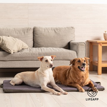 LIFEAPP 摺疊墊 外出專用寵物墊 - L:W110xD70xH3cm±5% (摺收W55 x D70 x H6cm)-橄欖綠