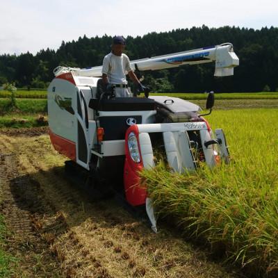 ふるさと納税 立山町 富山県立山町産　こしひかり玄米　10kg×2　計20kg　保存用唐辛子付き