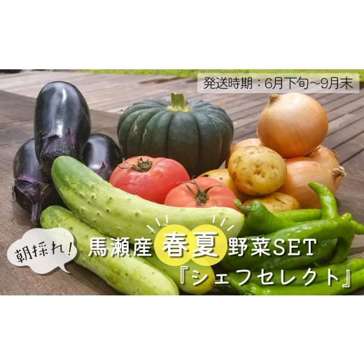 ふるさと納税 岐阜県 下呂市 ＼産地直送／朝採れ!! 春夏野菜SET 『シェフセレクト』（発送時期:6月下旬から9月末まで） 春夏収穫 旬野菜 詰合せ  野菜 セット …