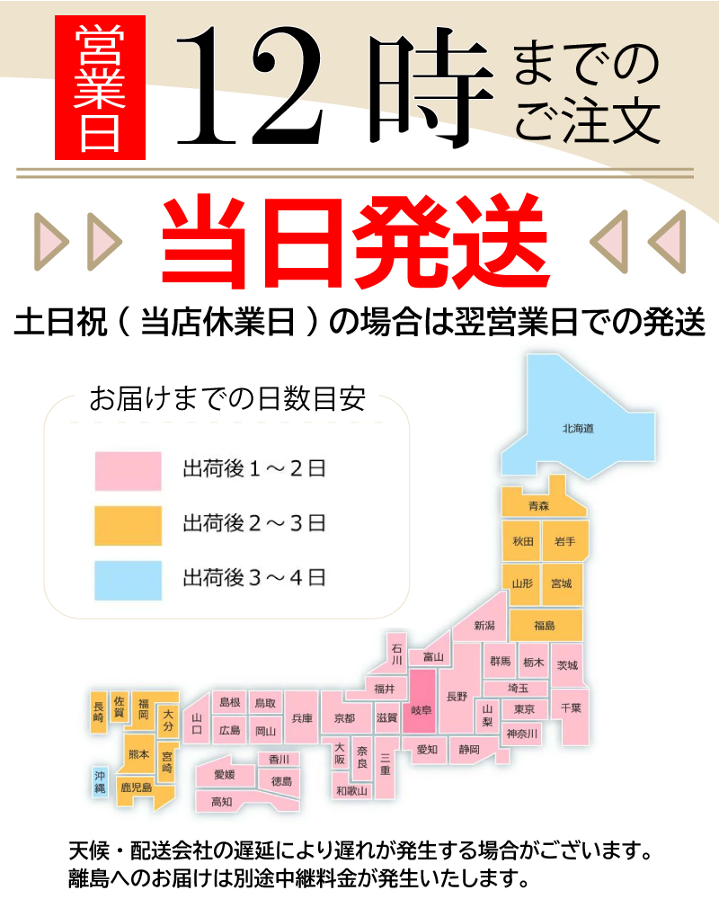 無洗米 10kg コシヒカリ 富山県産 令和5年産 こしひかり 送料無料 玄米 白米