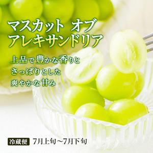 ふるさと納税 フルーツ 定期便 2024年 先行予約 晴れの国 おかやま 5回コース 桃 もも モモ 葡萄 ぶどう ブドウ 岡山県産 国産 果物 セット ギ.. 岡山県瀬戸内市