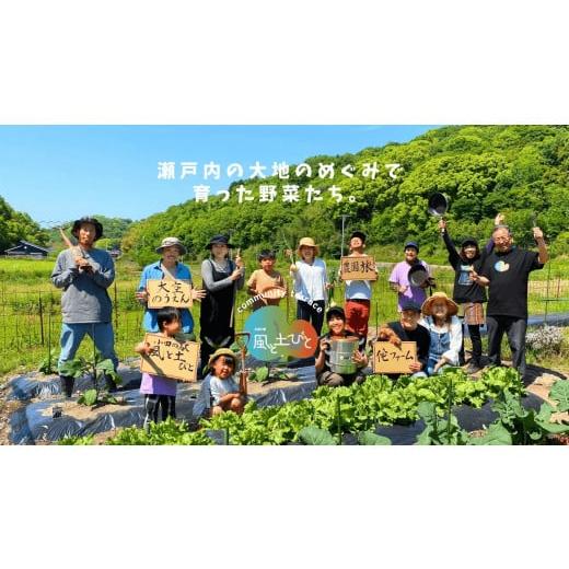 ふるさと納税 香川県 さぬき市 野菜 セット 詰め合わせ ギフト ウッド BOX 農家直送 特別栽培 旬のお野菜 5〜7品【野菜 セット 詰め合わせ ギフト BOX 農家直…