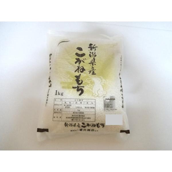 令和5年度産こがねもち1キログラム×20