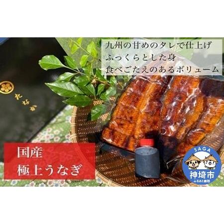 ふるさと納税 九州産特大うなぎ1尾(カット済み) (H071121) 佐賀県神埼市