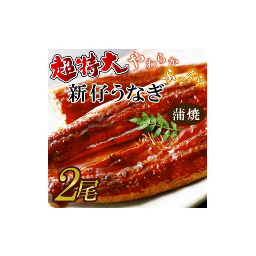 ふるさと納税 茨城県 行方市 AD-95　やわらか新仔うなぎ超特大蒲焼230〜250ｇ　2尾　計460ｇ以上