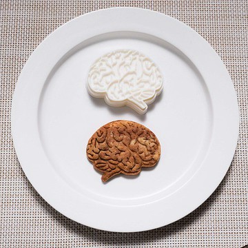 大腦（千篇一律/千篇一律）