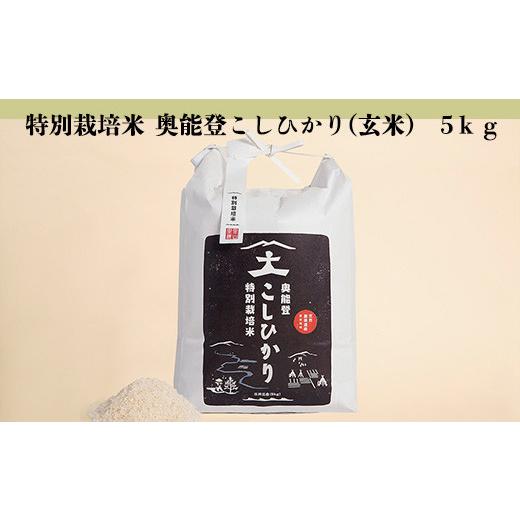 ふるさと納税 石川県 能登町 特別栽培米  奥能登こしひかり(玄米)  5ｋｇ