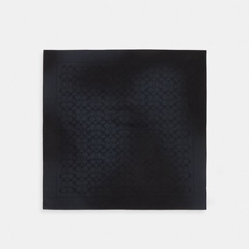 經典 SIGNATURE 印花絲巾