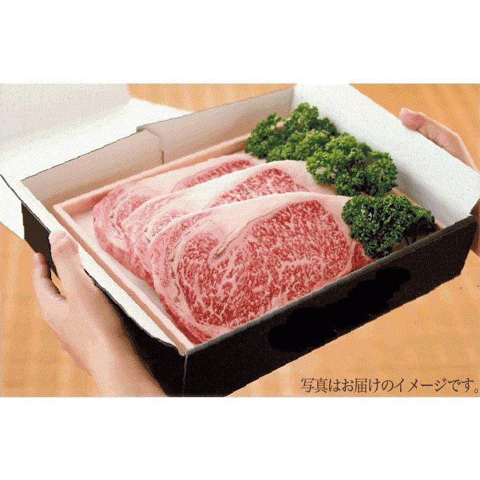 和牛サーロイン ステーキ 約200g 3枚 送料無料 国産 ステーキ肉 牛肉  お取り寄せ 冷凍 グルメ 肉 お肉 食品