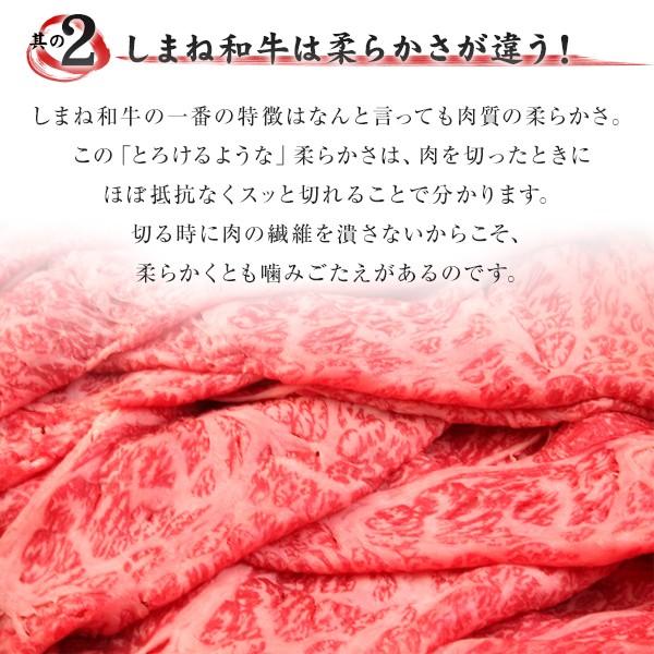 しまね和牛（島根和牛）ロース焼肉700g 送料無料（北海道・沖縄を除く）