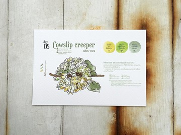 在地花卉明信片 - 第05天 在地相遇