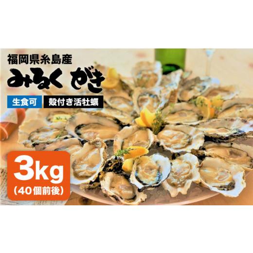 ふるさと納税 福岡県 糸島市 みるくがき 3kg（40個前後）◆ 生食可 から付き 活牡蠣 《糸島》牡蠣 生カキ 生食用 殻付き カキ 生牡蛎 生食可 [AEJ00…