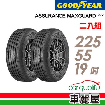 【GOODYEAR 固特異】輪胎固特異AMGS-2255519吋99V_二入組(車麗屋)
