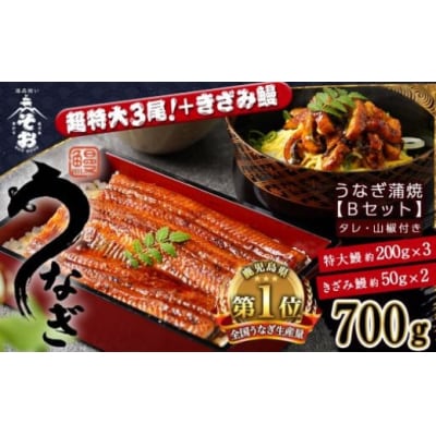 うなぎ蒲焼Bセット(約200g×3尾,きざみ鰻50g×2袋,タレ・山椒付)