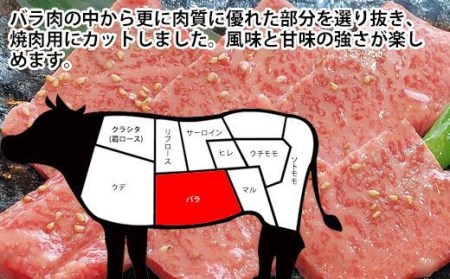 土佐和牛A5特選カルビ焼肉500g　牛肉　和牛A5ランク