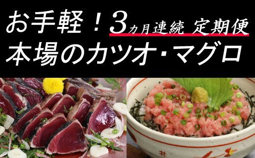 ＜３ヶ月連続＞カツオとマグロ堪能定期便Ａ