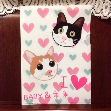 客製化A4L夾(一組5個)