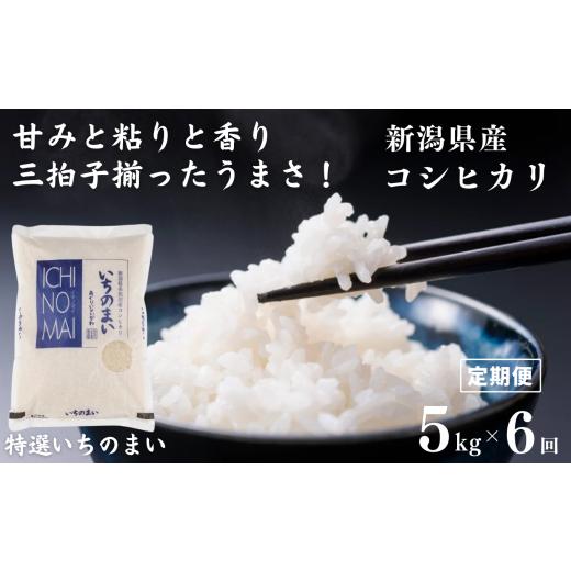 ふるさと納税 新潟県 糸魚川市 令和5年産 新潟県産コシヒカリ「特選いちのまい」5kg×6ヶ月 計30kg 米・食味鑑定士お墨付き 新米 精米したてを発送 …