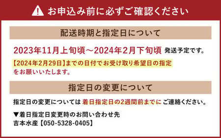 熊本県産 活き車海老 約270g（8～13尾程度）