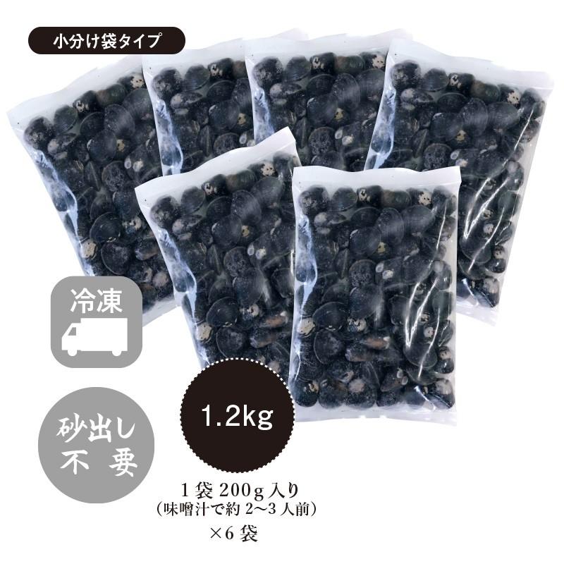 しじみ シジミ 蜆 十三湖 津軽  青森 冷凍　十三湖産冷凍しじみ  中粒 1.2kg（200g×6袋）