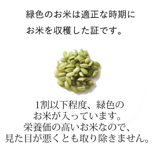 米 10kg 青森県産 4年産 特別栽培米 まっしぐら 玄米10kg（5kg×2）玄米食 人気 安い