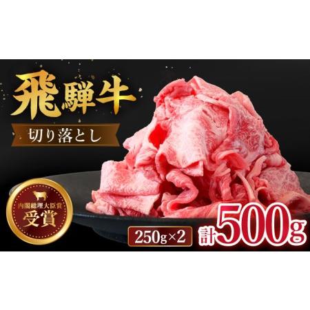 ふるさと納税 12 18お申込みまで　＼贅沢な味わいをご家庭で／ 切り落とし 500g (250g×2) 国産 .. 岐阜県多治見市