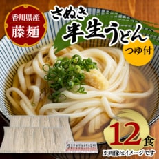 藤麺　さぬき半生うどん1人前12食(つゆ付)