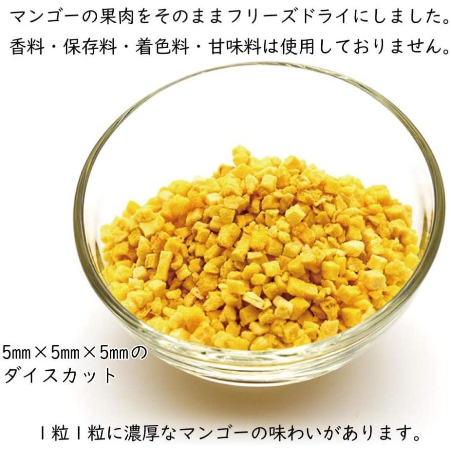 フリーズドライ マンゴー 200g ダイスカット 5mm×5mm×5mm 無添加 砂糖不使用