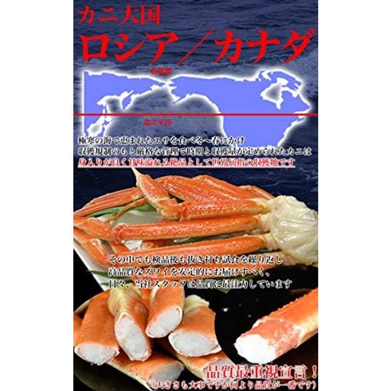 在庫限りの大放出姿 ズワイガニ 2尾で1kg前後（1尾500g前後） ボイル加熱済み急速冷凍 ずわい蟹 （脚折れ入る場合あり）