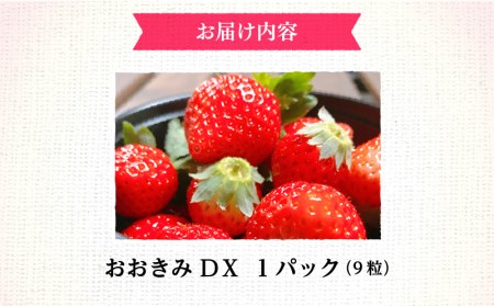 宮崎県産 イチゴ おおきみDX 1パック(9粒) いちご 苺 果物 期間・数量限定