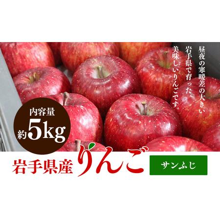 ふるさと納税 ふじむら農園の盛岡りんご『サンふじ』約5kg（ご家庭用） 岩手県盛岡市