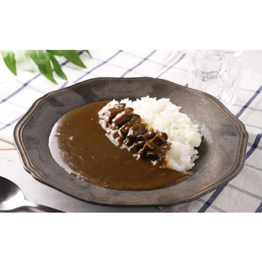 ふるさと納税 和歌山県 北山村 和歌山のアワビ屋さんがつくったあわびカレー ＜日付指定OK＞